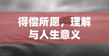 得偿所愿，理解与人生意义的探索  第1张