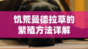 饥荒曼德拉草的繁殖方法全解析  第1张