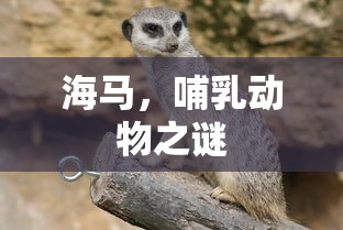 海马，哺乳动物之谜的神秘生物  第1张