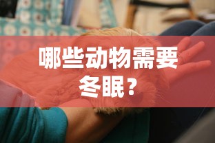 哪些动物需要冬眠？  第1张