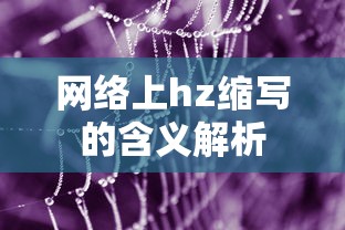 网络上HZ缩写的含义解析  第1张