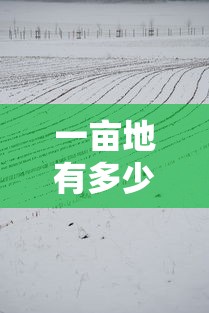 一亩地等于多少分？解析土地面积的单位换算  第1张