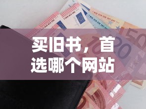 首选旧书购买网站，全面解析各大旧书交易平台的特点与优劣  第1张