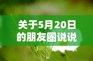 深海迷航控制台碎片在哪  第1张