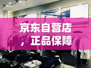 京东自营店，正品保障的安心购物体验  第1张