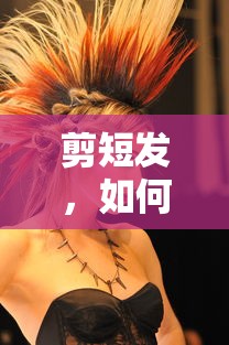 埃尔法商务车报价2022款价格图片  第1张