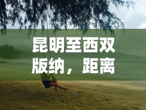 梦幻足球联盟  第1张