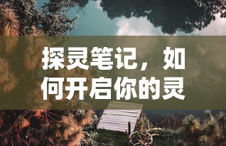 探灵笔记，开启你的灵异探险之旅  第1张