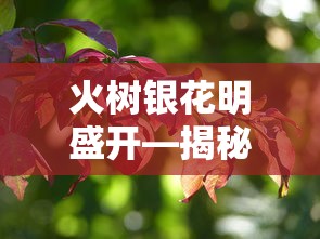 秉持是什么意思解释  第1张