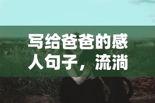爸爸，心中的暖流  第1张