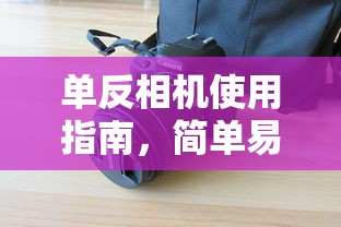 阴阳师达摩怎么用最划算  第1张