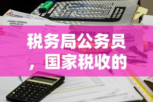 税务局公务员，国家税收的坚定守护者  第1张