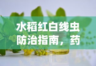水稻红白线虫防治指南，药物选择与使用方法  第1张