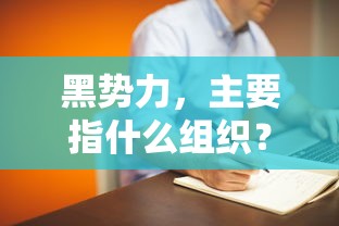 黑势力主要指黑社会组织。  第1张