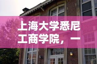 上海大学悉尼工商学院，卓越教育机构引领未来  第1张