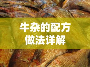 IMToken使用BSC（Binance Smart Chain）的步骤指南  第1张