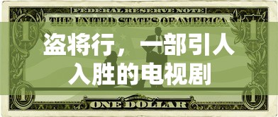 盗将行，引人入胜的电视剧  第1张
