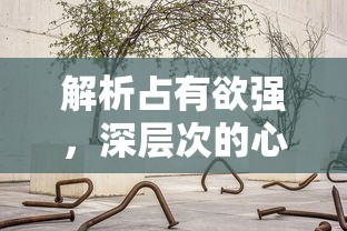 雷军妻子陪邓文迪看SU  第1张