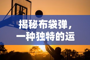 揭秘布袋弹，独特运动体验的探索  第1张