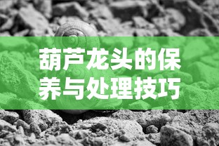 葫芦龙头的保养与处理技巧  第1张