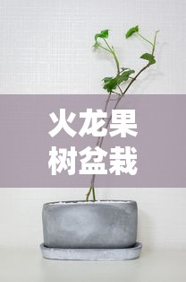 封顶大吉的好词好句  第1张