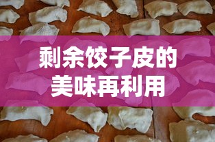 剩余饺子皮的美味再利用技巧  第1张