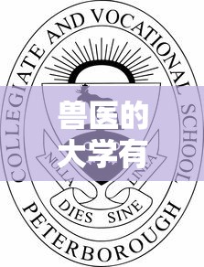 真诚道歉，以爱之名重获你的心—写给女朋友的深情道歉信  第1张