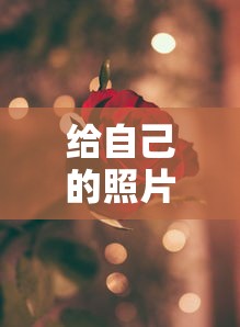 我的照片与一句话的完美搭配，符合您的需求。  第1张