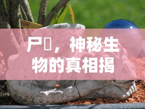 普京座驾阿鲁斯价格  第1张