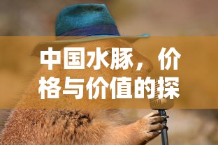 中国水豚，价格与价值的深度探索  第1张