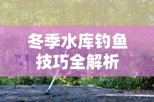 冬季水库钓鱼技巧全解析  第1张