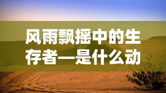魔兽官方对战平台  第1张