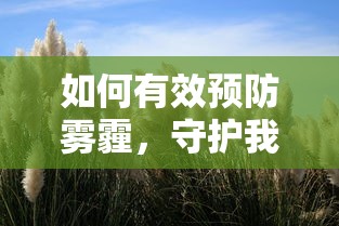 有效预防雾霾，守护蓝天白云的行动指南  第1张