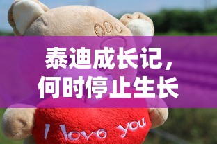 泰迪成长记，何时停止生长？  第1张