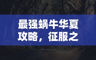 上海结婚证补办流程  第1张