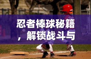 忍者棒球秘籍，解锁战斗与投球的无限潜能  第1张