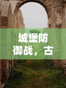 偷电瓶车的网红叫什么文案怎么写  第1张