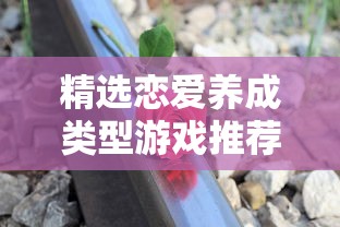 精选恋爱养成类型游戏推荐
