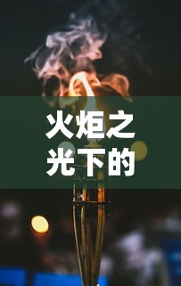 火炬之光下的秘籍探索之旅  第1张