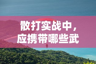散打实战中应携带的武器有哪些？  第1张