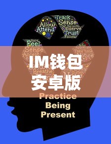 IM钱包安卓版下载教程指南  第1张