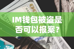 IM钱包被盗是否可以报案？  第1张