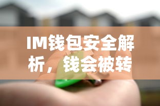 IM钱包安全解析，资金转移风险解析  第1张