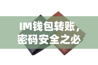 IM钱包转账，密码安全之必要  第1张