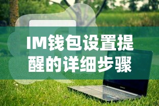 IM钱包设置提醒的详细步骤  第1张