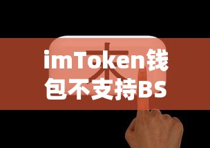 imToken钱包不支持BSC网络，原因与影响分析  第1张
