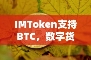 IMToken，BTC支持，数字货币交易的新选择  第1张