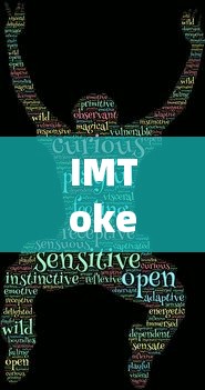 IMToken语音翻译，语言障碍的桥梁  第1张