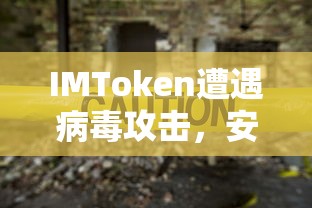 IMToken病毒攻击，安全风险及应对策略  第1张