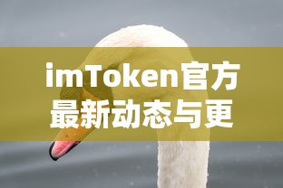 imToken官方最新动态与更新  第1张